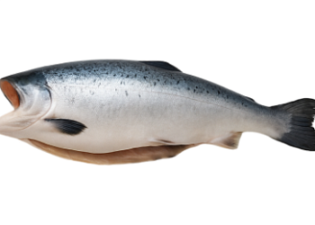 Кижуч потрошеный без головы 3,6-4,5 кг Premium зам., Чили